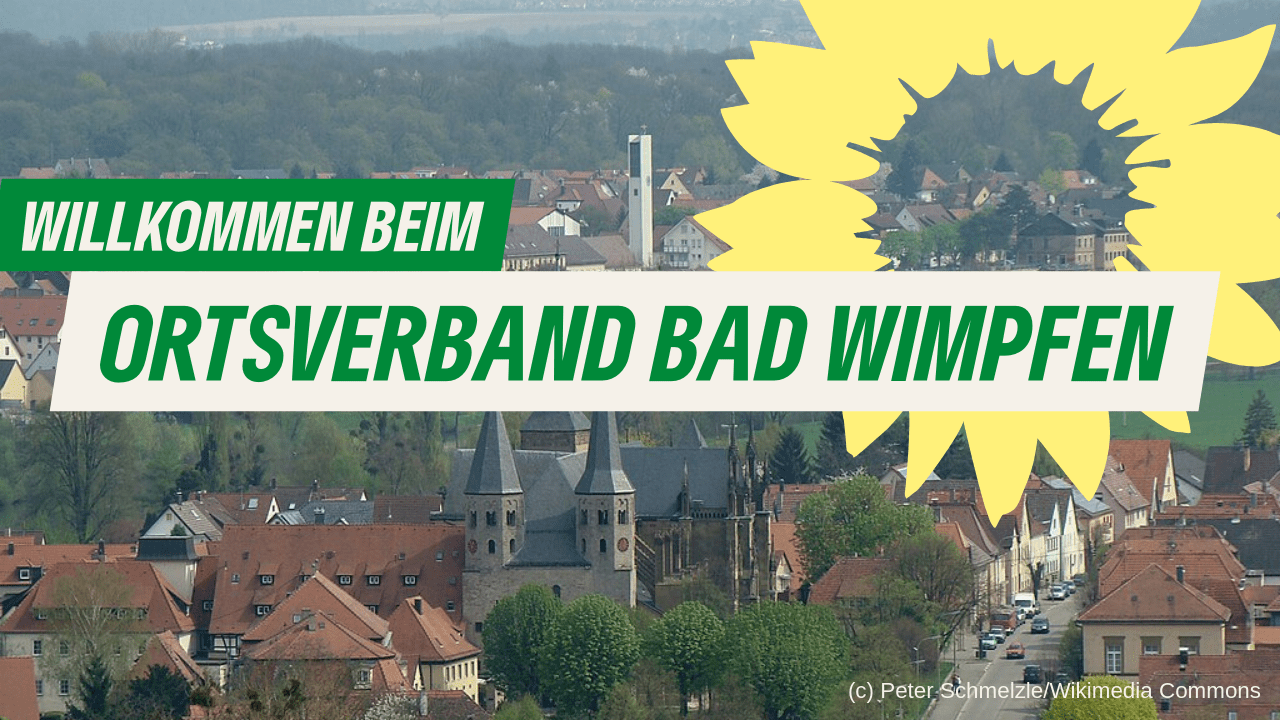 Luftbild von Bad Wimpfen