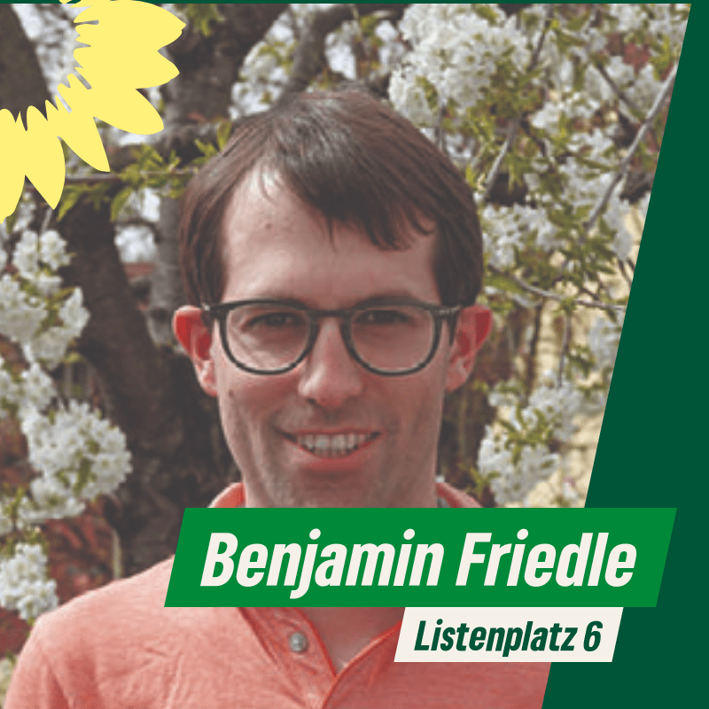 Porträ Benjamin Friedle, Listenplatz 6