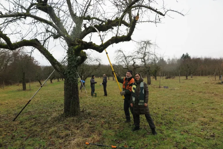 Artenvielfalt sichern – Streuobstwiesen schützen
