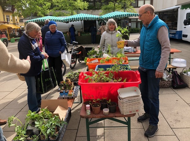 Große Vielfalt beim Pflänzlesmarkt